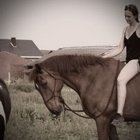 Ontspannen moment tussen ruiter en paard in een natuurlijke omgeving