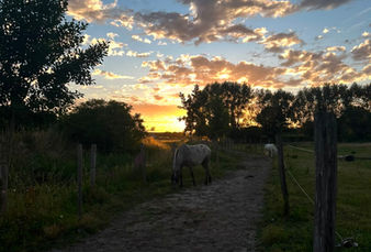 Zonsondergang boven de weides van The Greatest Barn in Dentergem