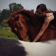 Knuffelmoment tussen ruiter en voskleurig paard