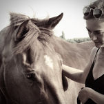 Vrouw maakt rustig contact met een paard