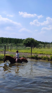 Ruiter met paard in het water tijdens een buitenrit