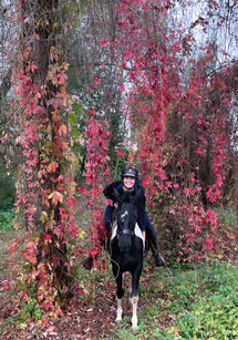 Ruiter op zwart-wit paard Sarabi tussen rode herfstbladeren