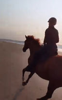 Ruiter met paard langs de kustlijn op het strand