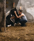 Rustig contactmoment met liggend zwart-wit paard