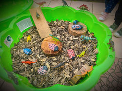 FB_IMG_1774530469486