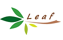 leaf logo.png