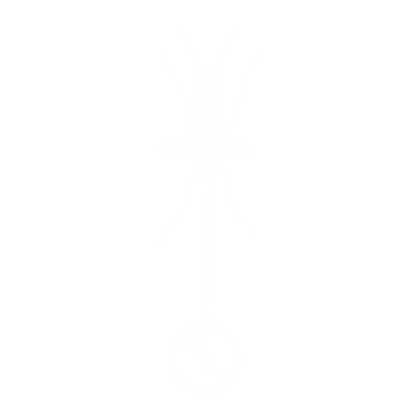 Mosquito_blanco.png