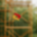 torre equipos logo