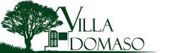 Villa Domaso.png