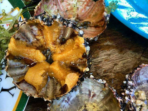"Swaki" in Britania, San Agustin, Surigao del Sur