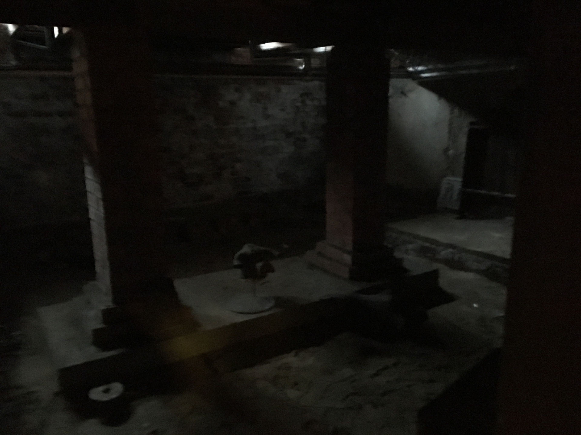 Folio Basement 2