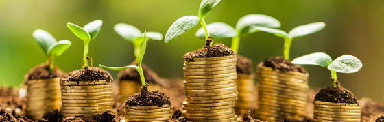 How to Promote and Finance Your Film - Development Money!