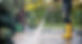 IMG_2437.jpeg