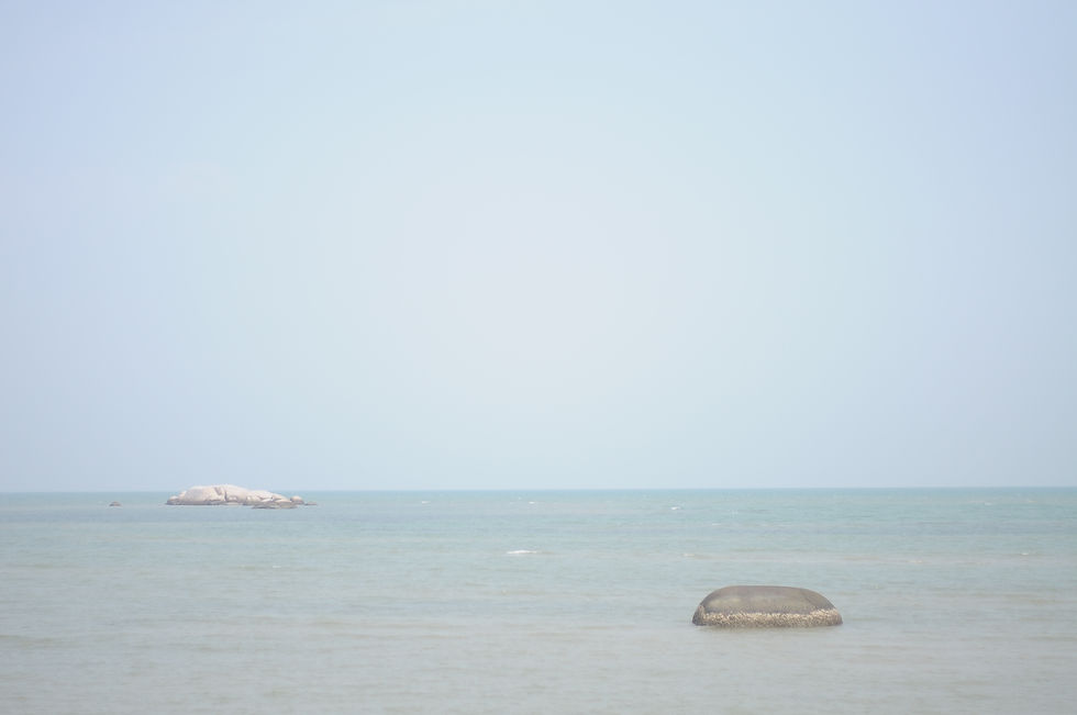 View From Island's Jetty