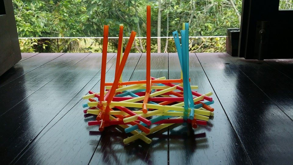 Study Model