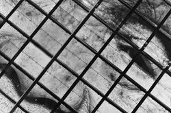 E23F563D-0B08-4FCA-A3D5-D57BAC0CC931