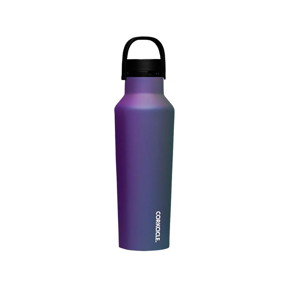 Termos - Sport Canteen - 590 ml - Dragonfly
