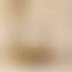 Corkcicle Stemless Çelik Termos