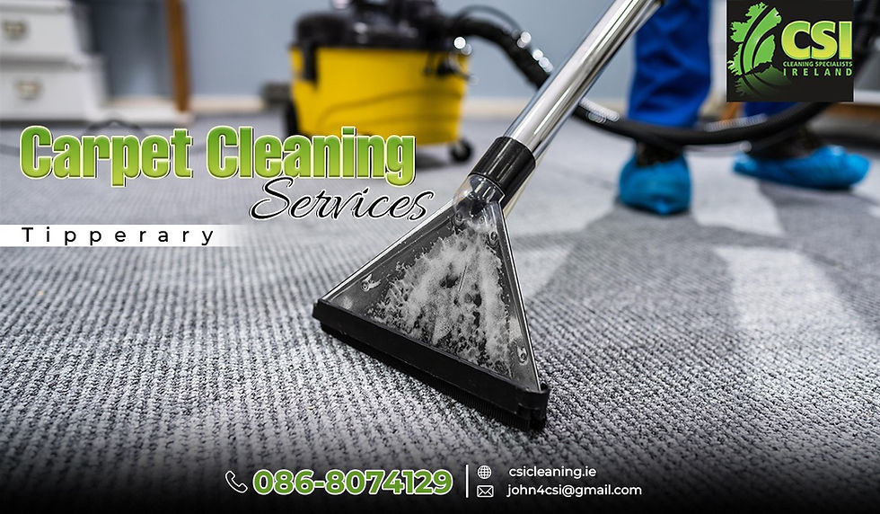 Expert Carpet Cleaning for a Spotless Home Environment