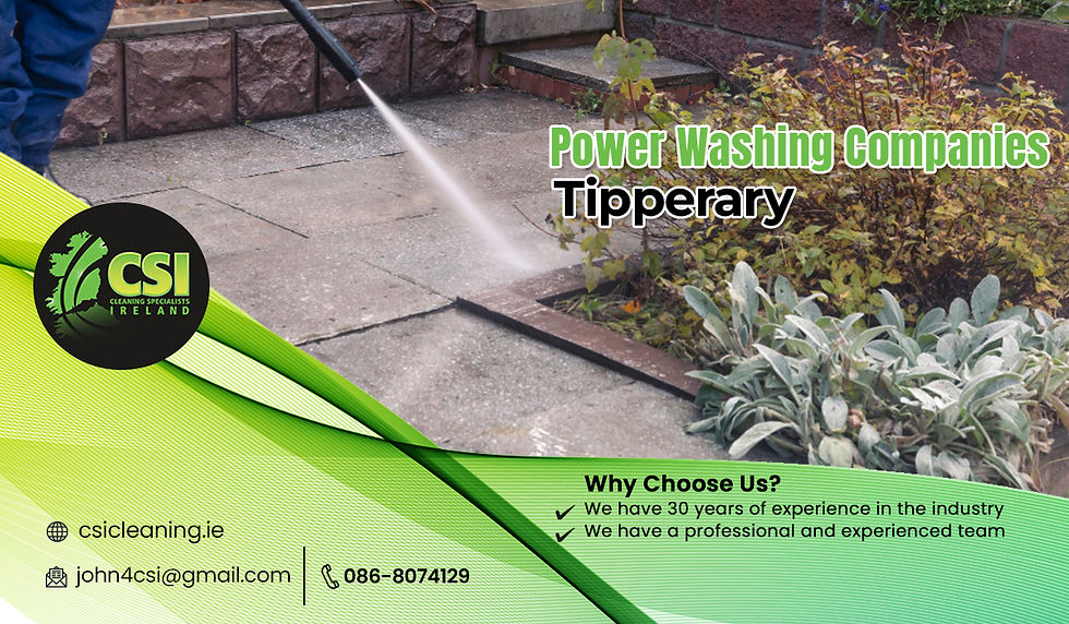 Person power washing stone pavement, surrounded by plants. Text promotes power washing services in Tipperary, with contact details and logo.