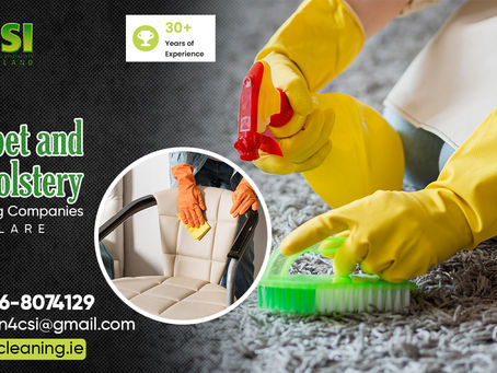 Carpet & Upholstery Cleaning Companies: Bringing Back Lost Aesthetics