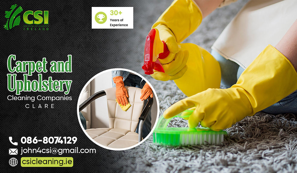 Carpet & Upholstery Cleaning Companies: Bringing Back Lost Aesthetics
