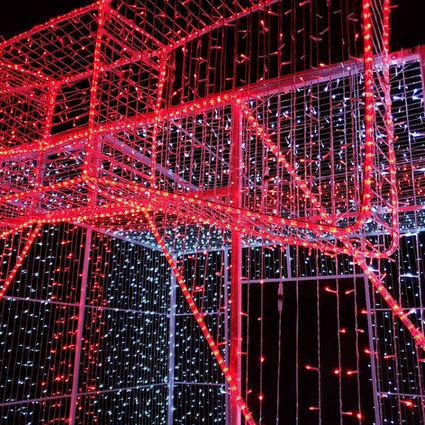 WhatsApp Image 2023-06-01 at 3.13.25 PM (6).jpeg