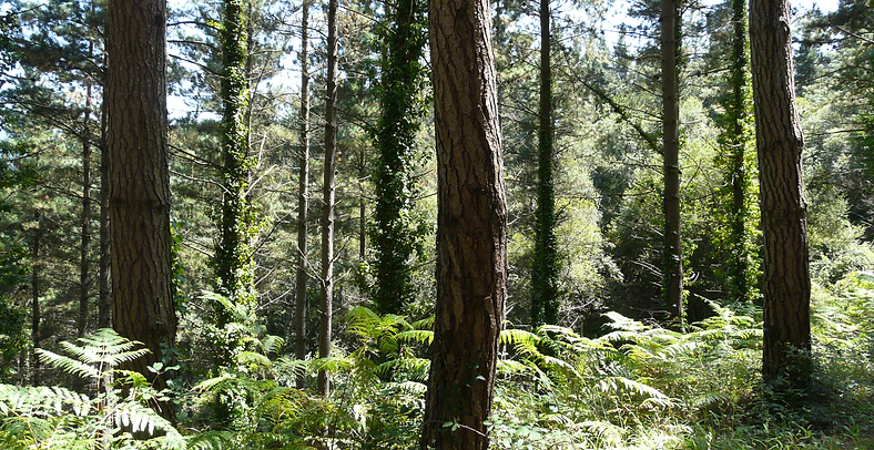 P1080798_edited.jpg