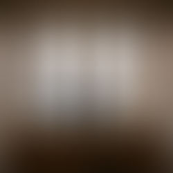 Why Shutters are the Best Option for French Doors Window Treatments