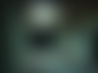 Immersive Paranormal Investigations with 'The Dark Awaits'