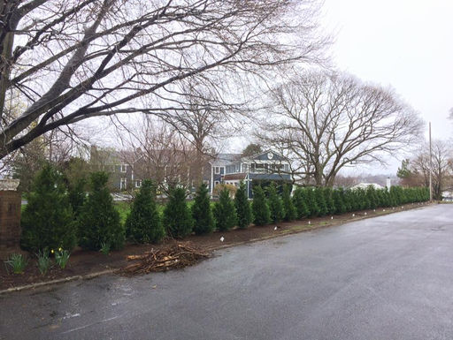 Lawn and Landscaping Fair Haven, Rumson NJ