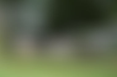 Welcome to the Bay Hill Blog