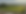 Fields.png