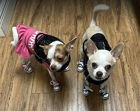 Screenshot (48)_edited.jpg