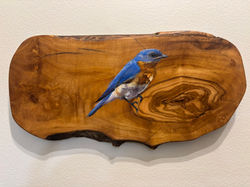 Eastern Bluebird