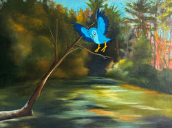 Bluebird on the Cartecay