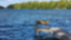 lake hypnotherapy