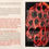 Thumbnail: Fractured Covid 19: Memento Mori vs Memento Vivere by Memory Press