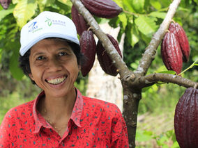 Access to Finance for Cocoa Farmers in Indonesia
