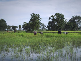 Preventing client over-indebtedness in Cambodia