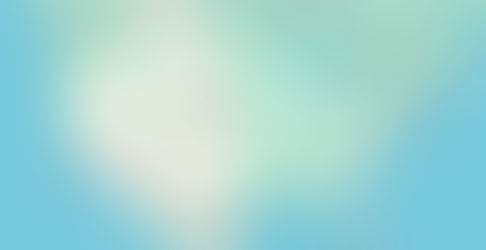 DTAR SECURITY EXECUTIVE BRIEF: TWO MASS SHOOTINGS IN THE US, TWO DEADLY FIRECRACKER FACTORY EXPLOSIONS IN INDIA, POSSIBLE ISIS GUNMEN ATTACK IN SYRIA, AND GULF CARTEL LEADER CAPTURED IN MEXICO