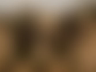 FLASH ALERT: WARNING TO NIGERIAN CIVILIANS, BOKO HARAM FACTION ISSUES 72-HOUR ULTIMATUM TO NIGERIAN GOVERNMENT TO MEET DEMANDS OR EXECUTE 416 CAPTIVES