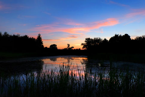 Kendleshire Sunset 0456.jpg