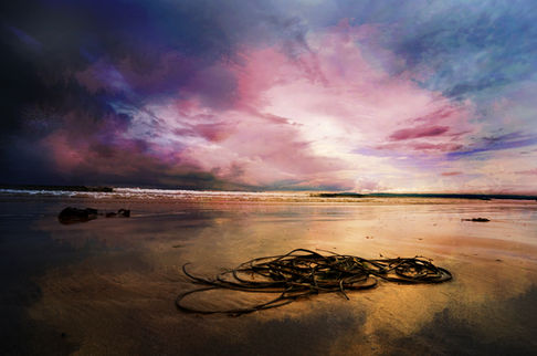 DSC09108 A fine art web.jpg