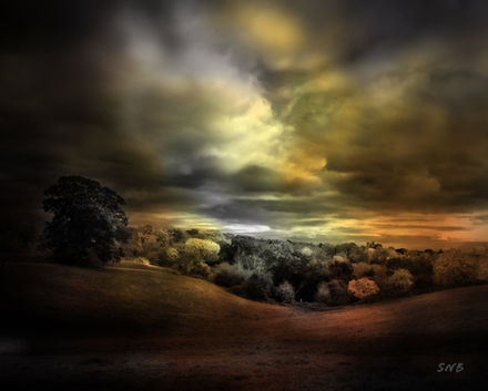 DSCF1260 Fire 2 .jpg