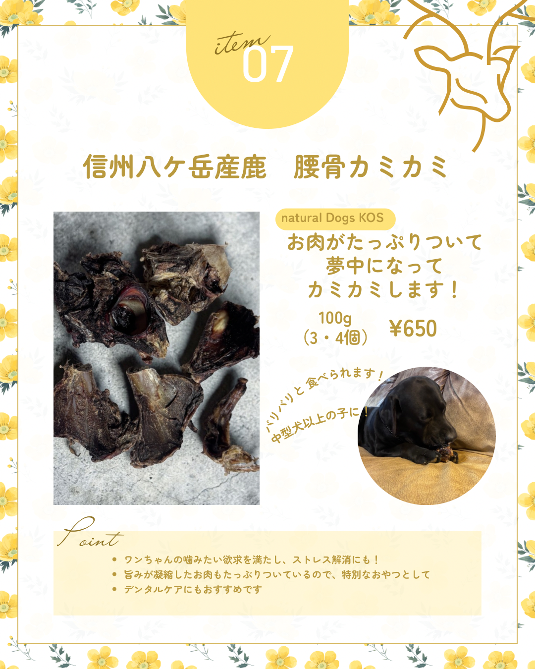 信州八ヶ岳産鹿　腰骨カミカミ