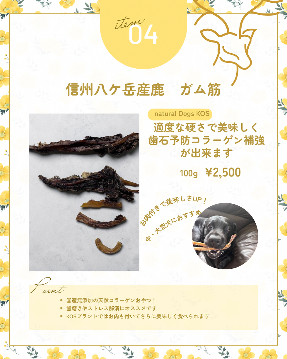 サムネイル： 信州八ヶ岳産鹿　ガム筋