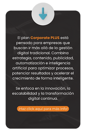 profesional (1).png