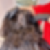 6.png