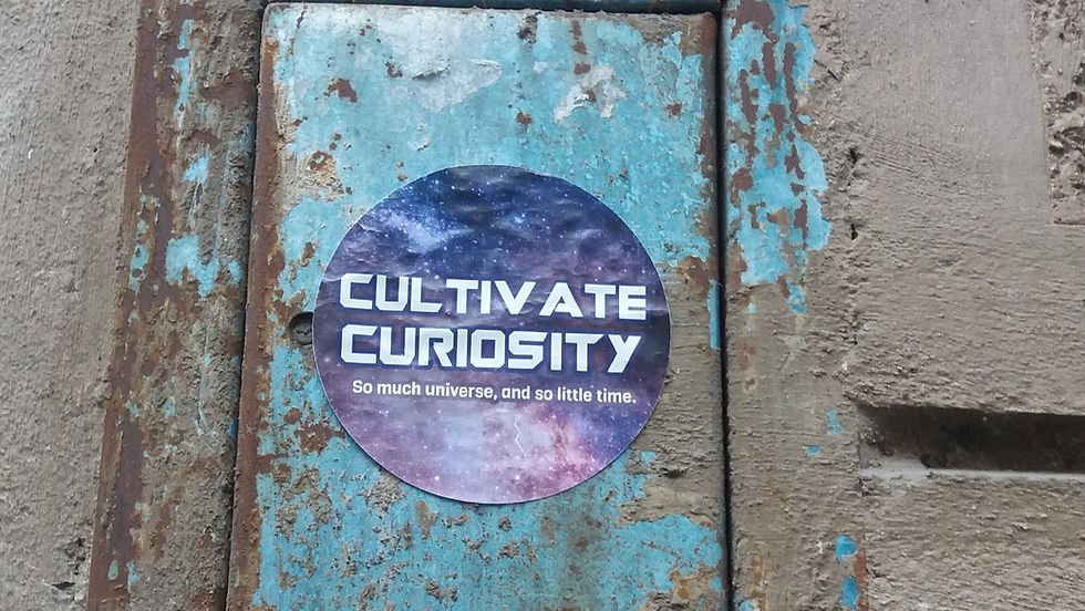 Let’s be curious about a thriving workplace.
